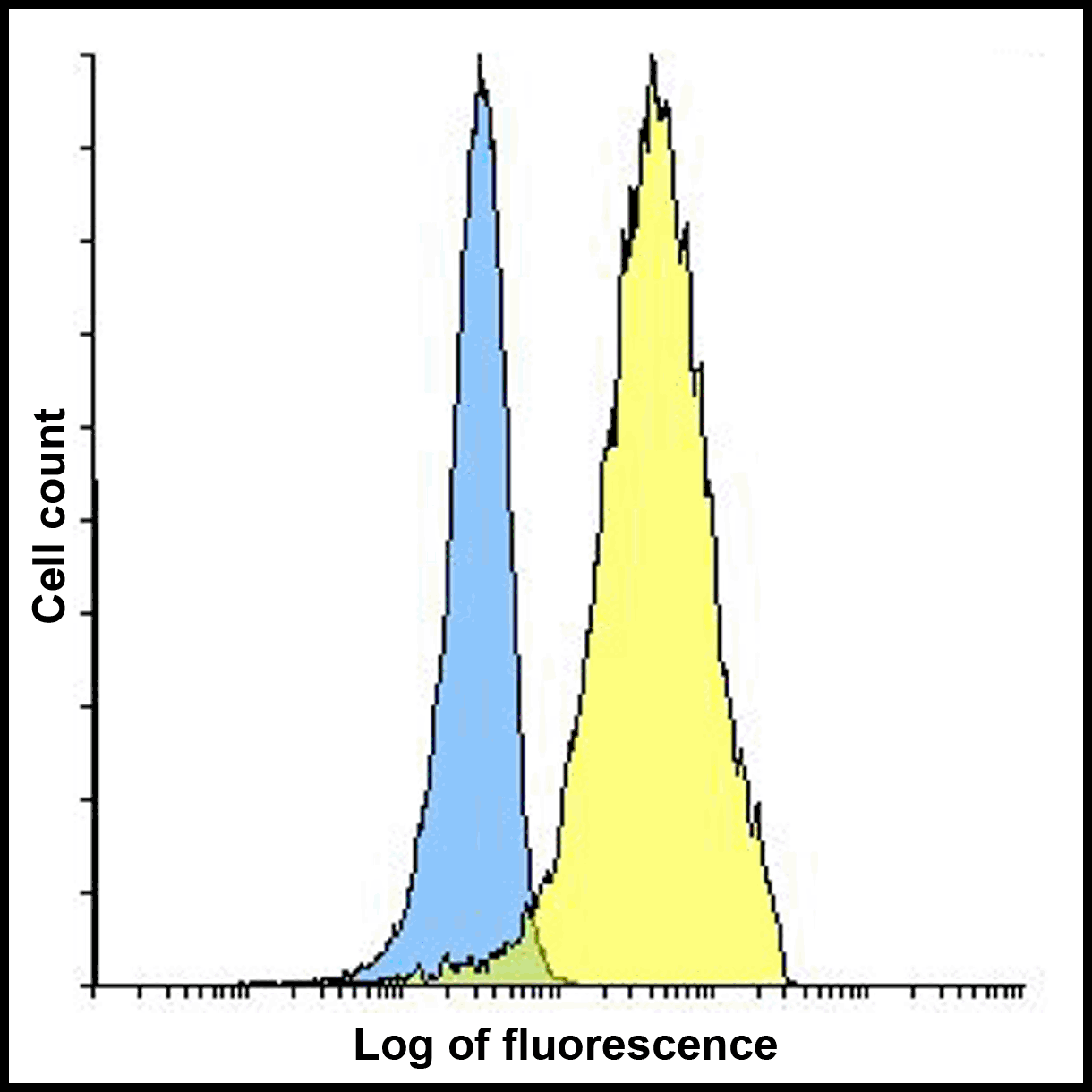 PDL2 Antibody [7C7]