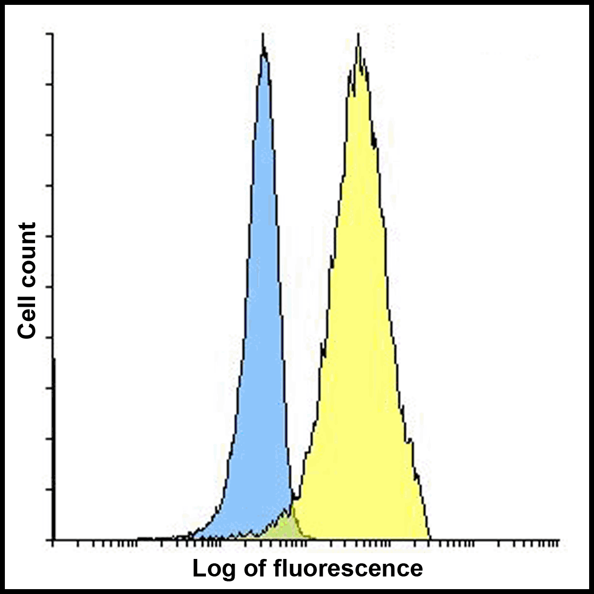 PDL2 Antibody [10H6]