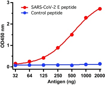 SARS-CoV-2 (COVID-19) Envelope Antibody