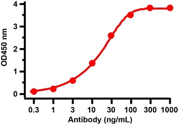 SARS-CoV-2 (COVID-19) Nucleocapsid Antibody