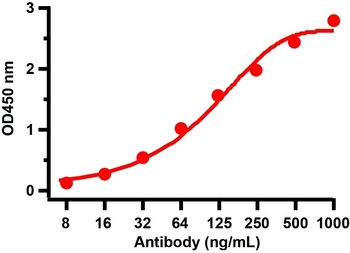 SARS-CoV-2 (COVID-19) Nucleocapsid Antibody