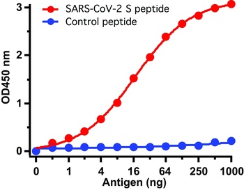 SARS-CoV-2 (COVID-19) Spike Antibody