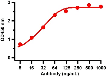 SARS-CoV-2 (COVID-19) Spike 681P Antibody