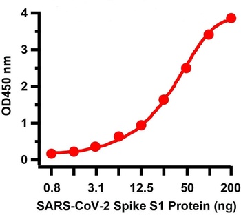 SARS-CoV-2 (COVID-19) Spike 681P Antibody