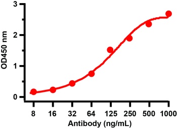 SARS-CoV-2 (COVID-19) Spike RBD Antibody