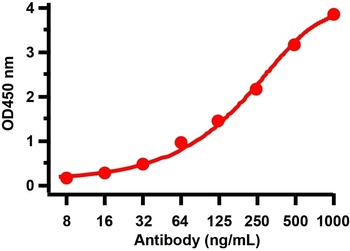 SARS-CoV-2 (COVID-19) Spike S1 Antibody