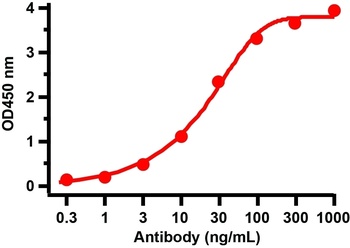 SARS-CoV-2 (COVID-19) Nucleocapsid Antibody