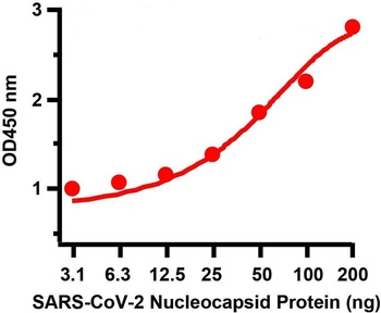 SARS-CoV-2 (COVID-19) Nucleocapsid Antibody