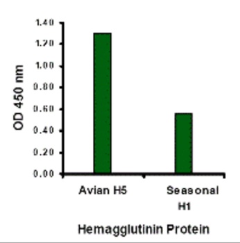 NA Antibody