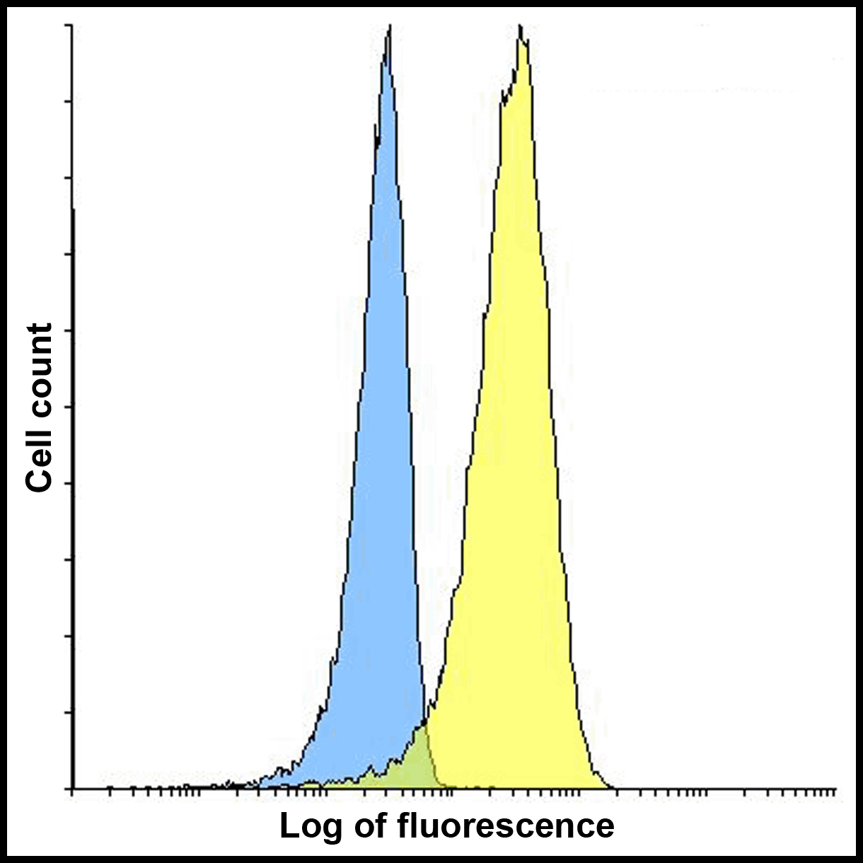 VISTA Antibody [4C4]