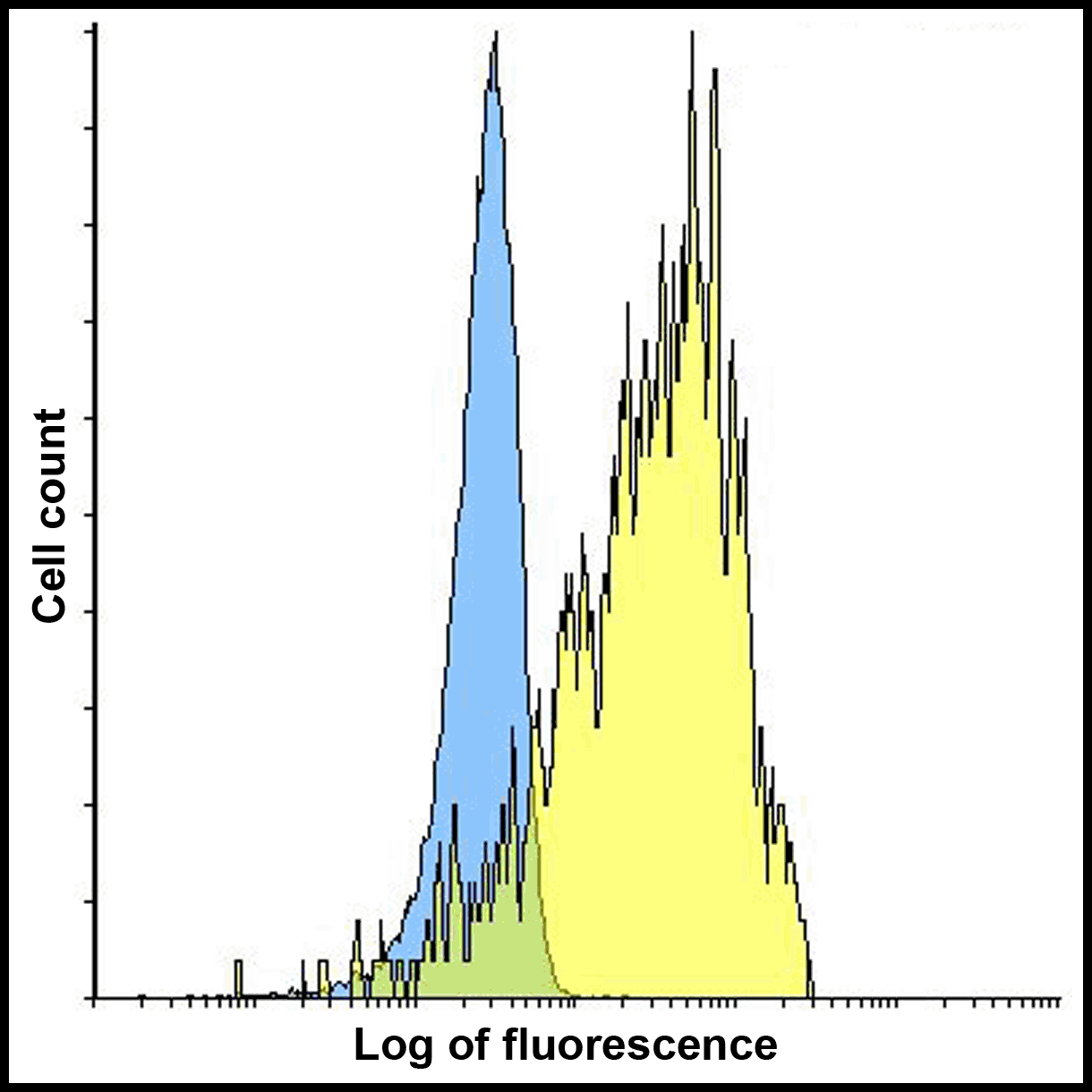 VSIR Antibody