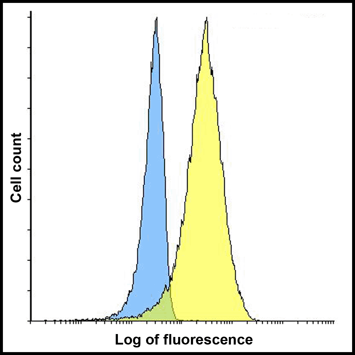 VSIR Antibody