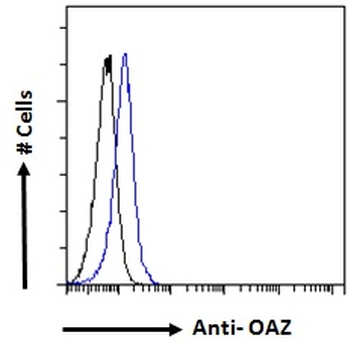 Apom Antibody