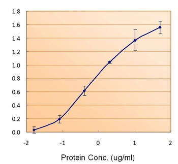 FTL Antibody