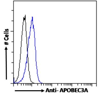 APOBEC3A Antibody