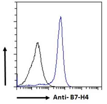 VTCN1 Antibody