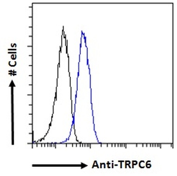 TRPC6 Antibody