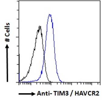 HAVCR2 Antibody