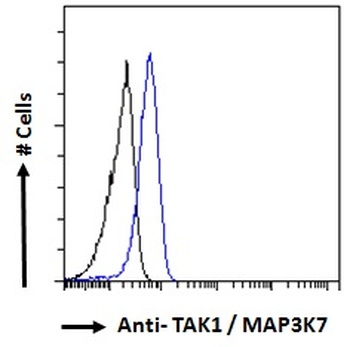 MAP3K7 Antibody