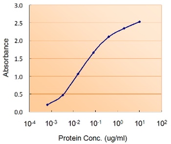 UBASH3A Antibody