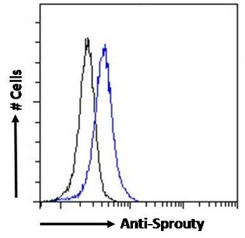 SPRY1 Antibody