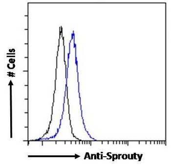 Sprouty Antibody