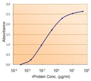 SMAD9 Antibody