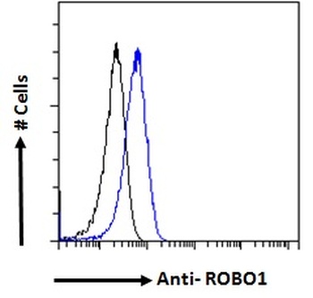 ROBO1 Antibody