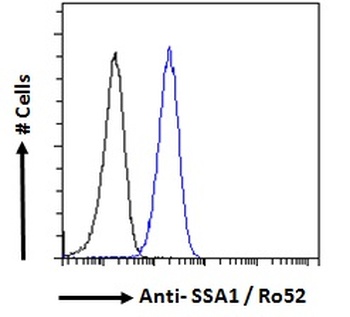 Ro52 Antibody