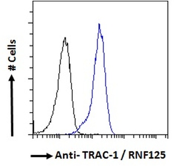 RNF125 Antibody