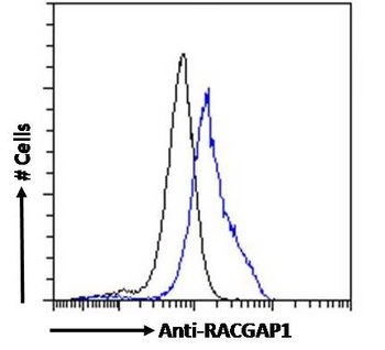 RACGAP1 Antibody