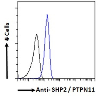 PTPN11 Antibody