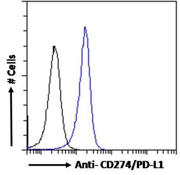 PD-L1 Antibody