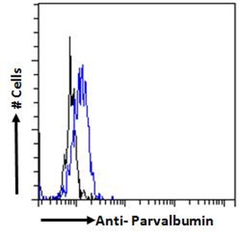 Parvalbumin Antibody