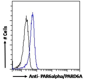 PARD6A Antibody