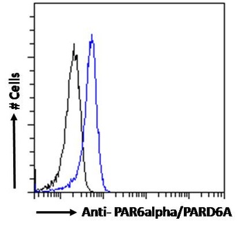 PAR6 alpha Antibody