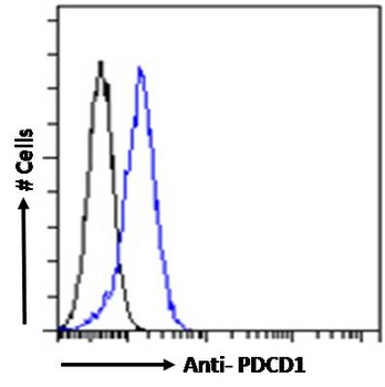 NANOS1 Antibody