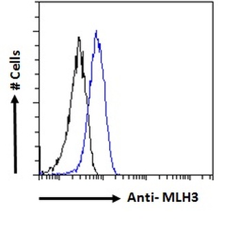 MLH3 Antibody