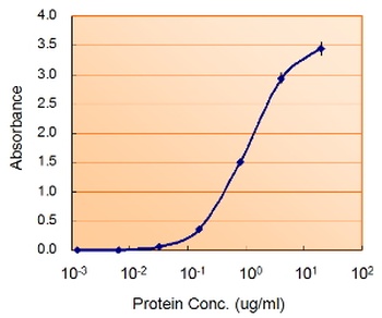 MAOB Antibody
