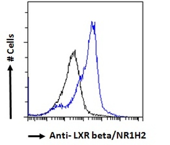 LXR Antibody