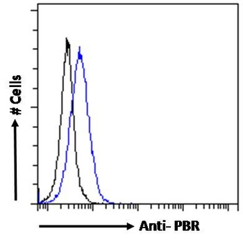 Tspo Antibody