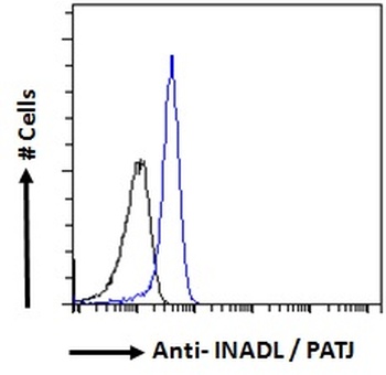 INADL Antibody