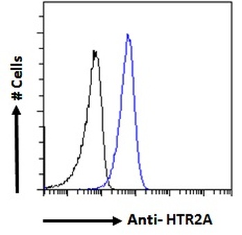 IGFBP7 Antibody