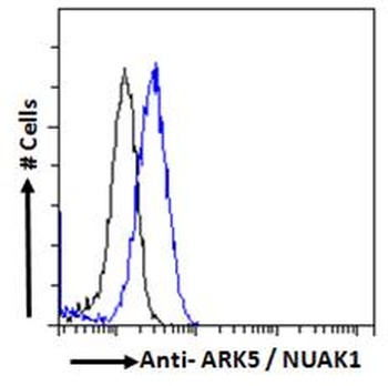 S100A9 Antibody