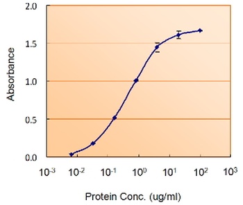 GSN Antibody