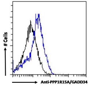 GADD34 Antibody