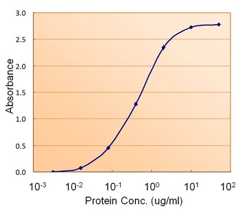 FH Antibody