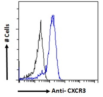 CXCR3 Antibody