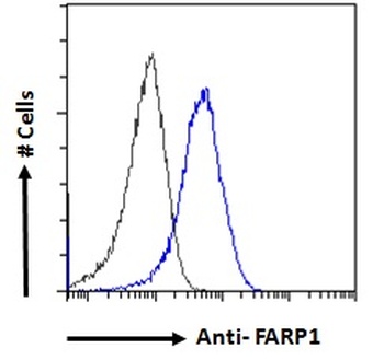 CDEP Antibody