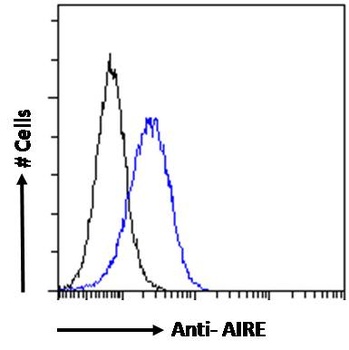 AIRE Antibody